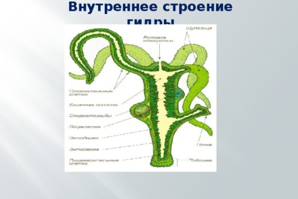 Кракен нарко шоп