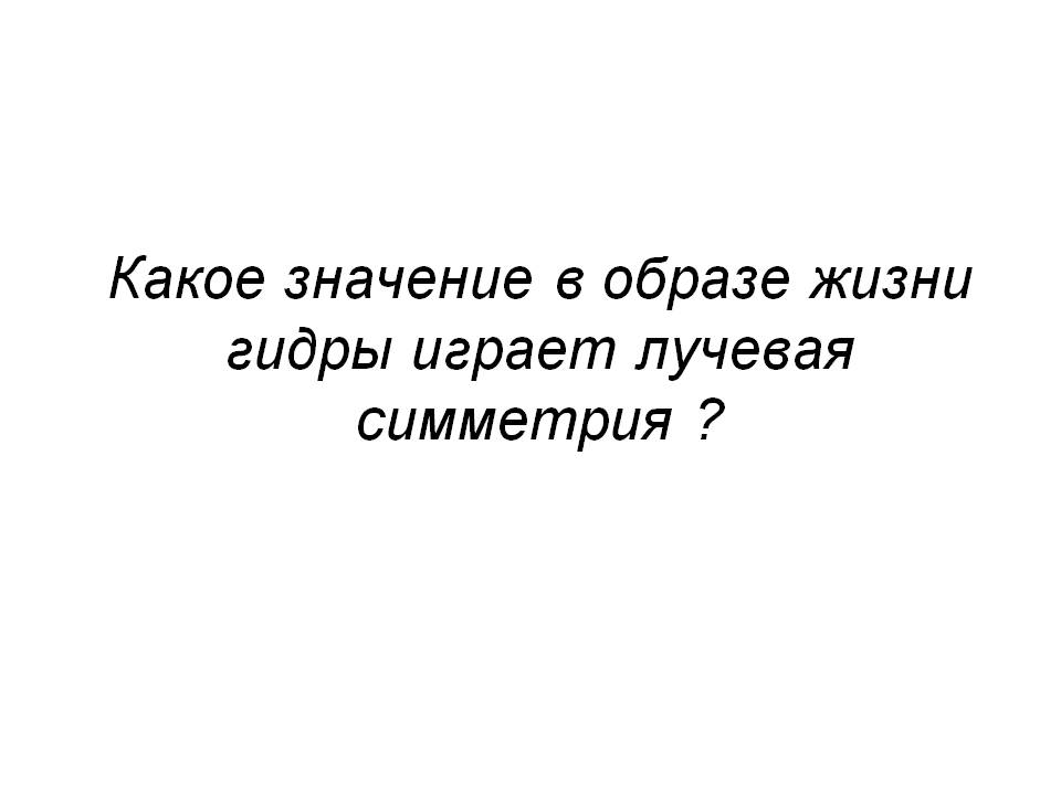 Почему не могу зайти на кракен