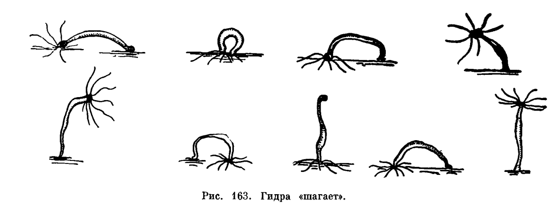 Кракен сбой